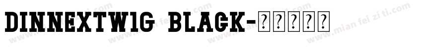 dinnextw1g black字体转换